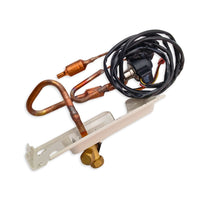 LIQ VALVE ASY 15422500000156 .. 3000012754