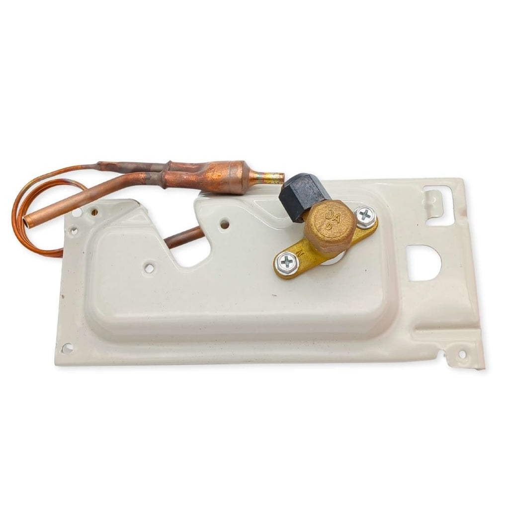 VALVE LIQUID ASY 15422000013453 .. 3001005164