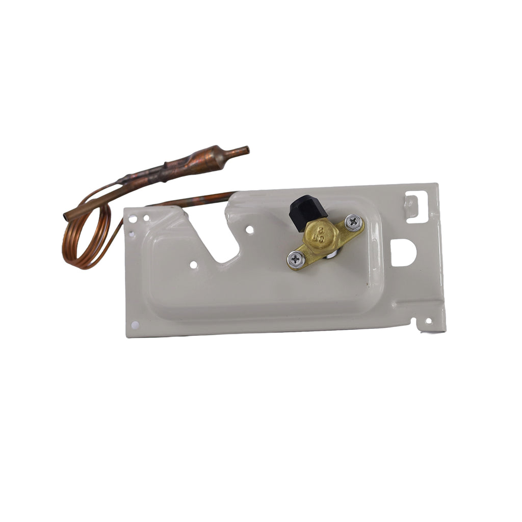 Valve: Liquid Asy 15422000013972 .. 3001005165