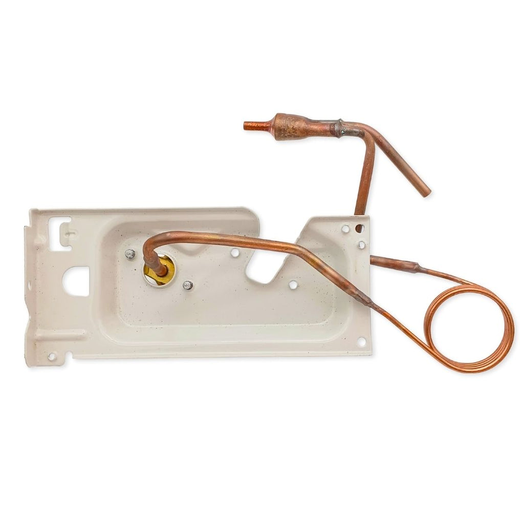VALVE LIQUID ASY 15422000016473 .. 3001005166