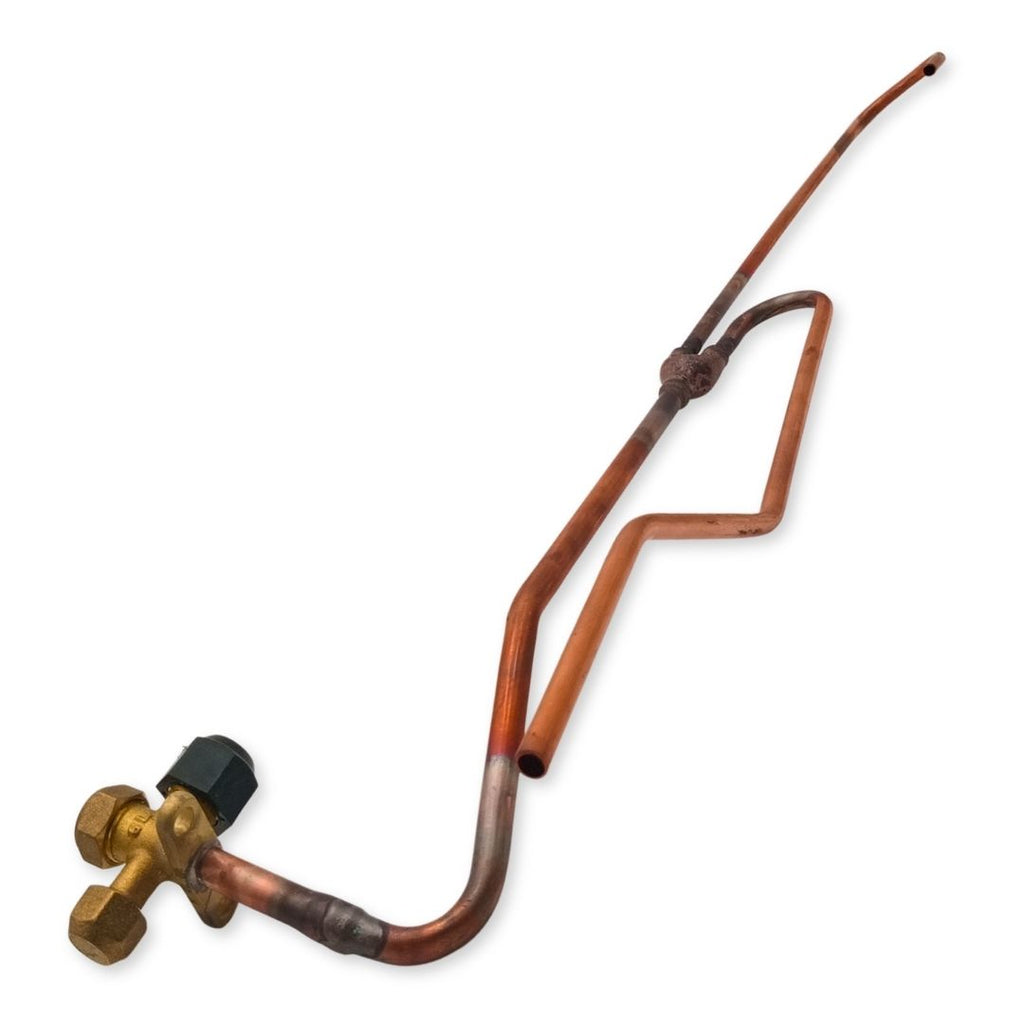 VALVE LIQUID ASY 15422000009812 .. 3001005684