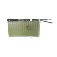 Coil: Evap Asy 15822200002808 .. 3001005808