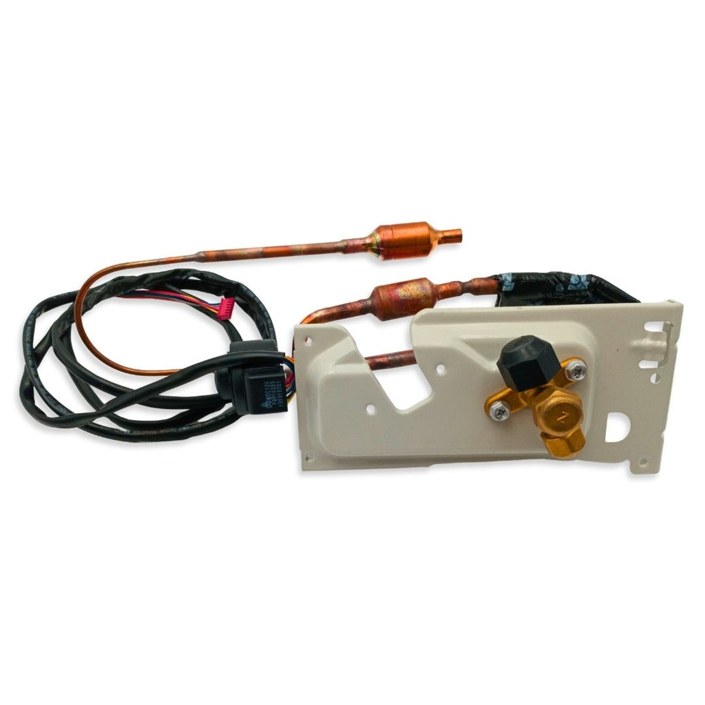 VALVE LIQUID ASY 15422000016298 .. 3001005826