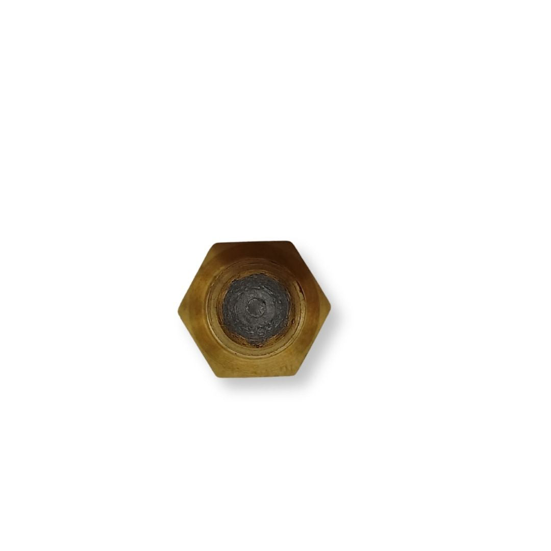 Plug: Fusible 43T49338 .. 4000012990 – TOTALINE