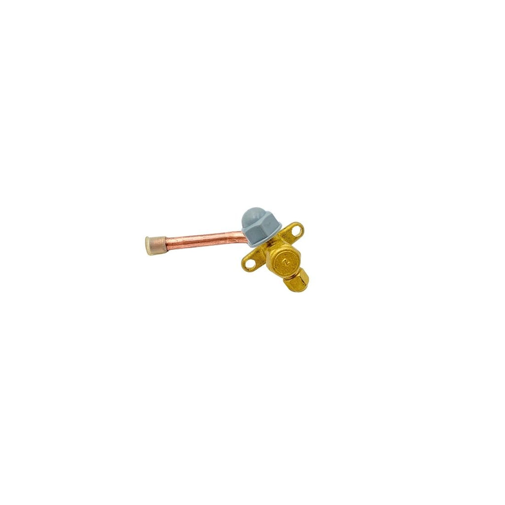 GAS VALVE 201600720013 .. 4000014286