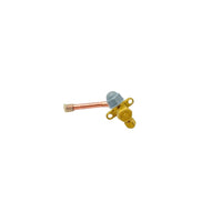 GAS VALVE 201600720013 .. 4000014286
