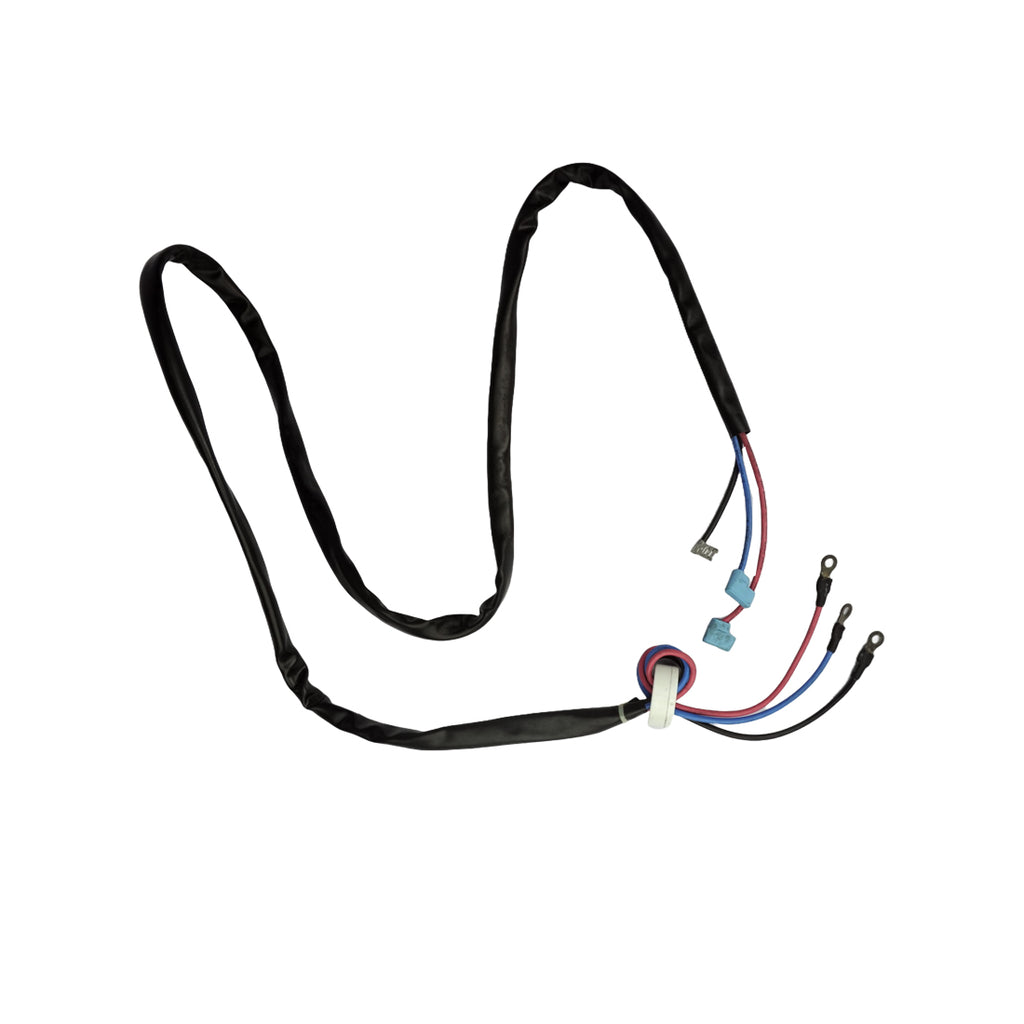 Comp wire assy 202402220131 ..4000014658