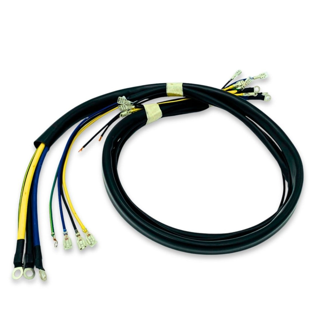 WIRE SET W/ TIMER AC25246002 R1 .. 4001006572
