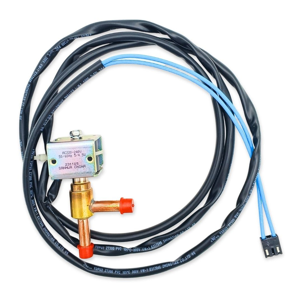 ONE-WAY SLND VALVE ASSY  15500205000010 .. 4001030938