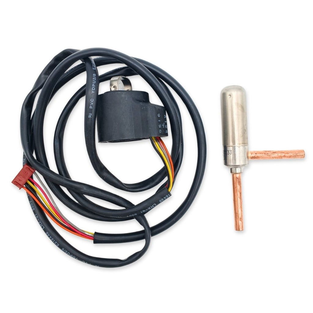 Electronic EXV assy: 19849297038 .. 4001031323