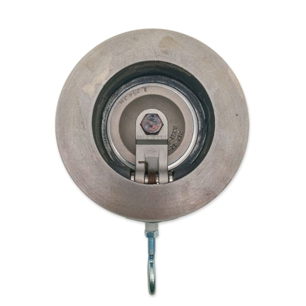 CHECK VALVE : 19PVT85011201 .. 4001032129