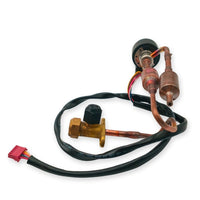 LIQUID VALVE ASSEMBLY 15422000023255 .. 4001033205